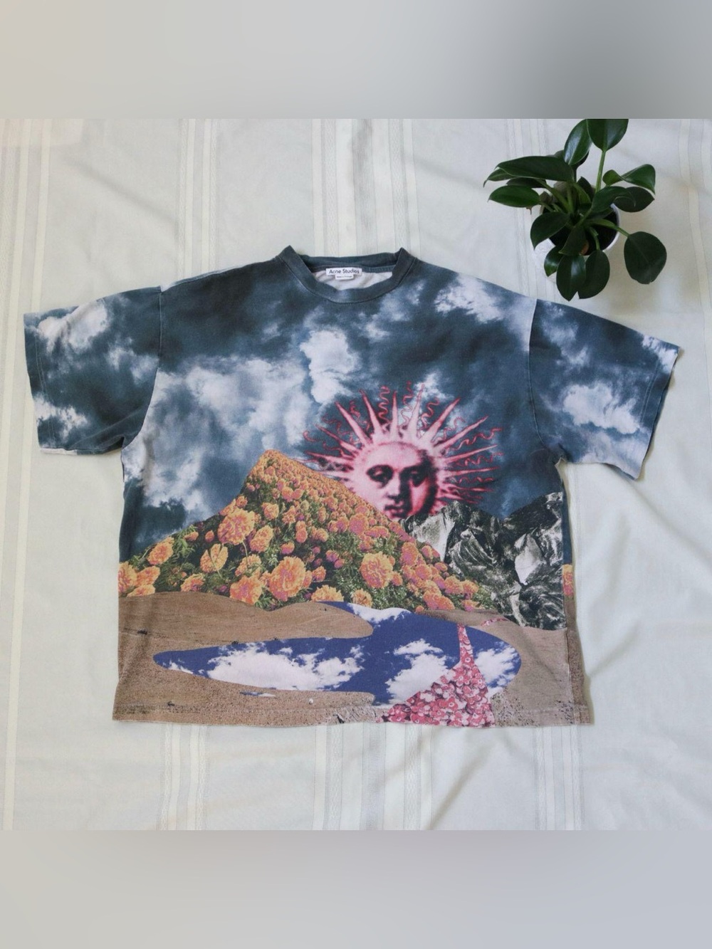 Acne Studios nature sun and landscape collage t-shirt